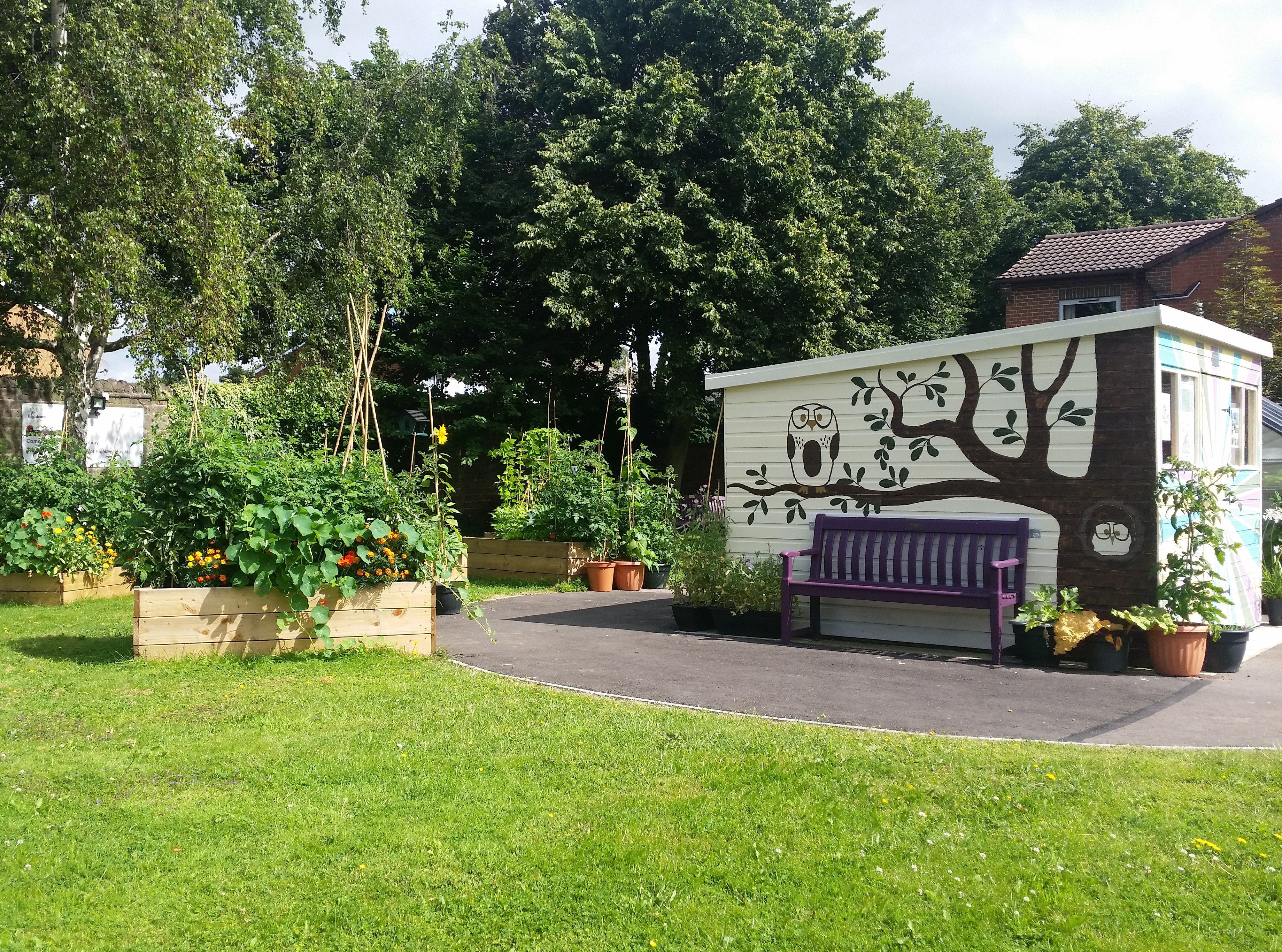 Picture of the community garden including raised beds, grass, trees, a bench and a shed